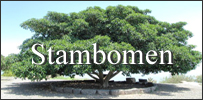 stambomen